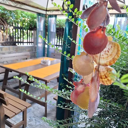 Affittacamere Starata Kushta