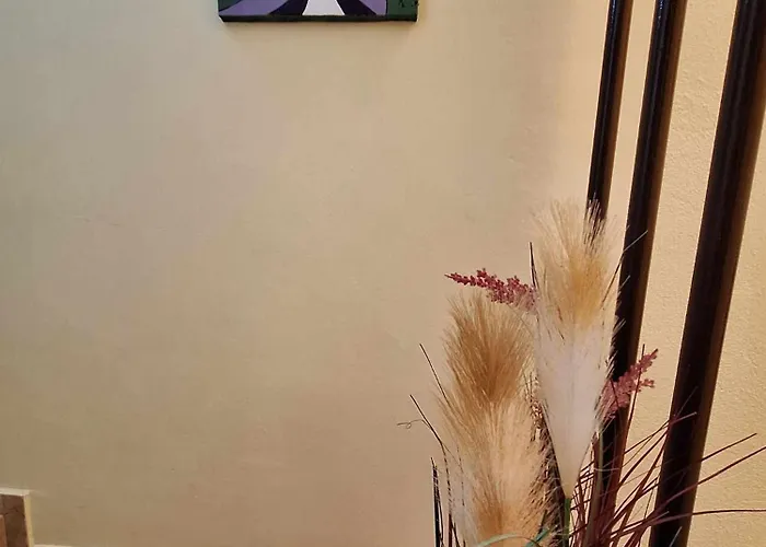 Pensión Starata Kushta